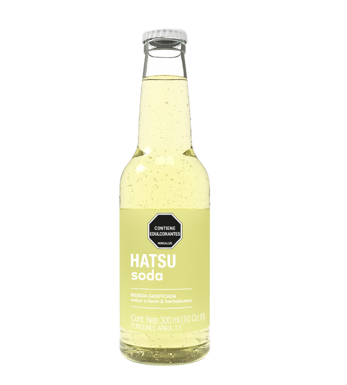 Imagen destacada del producto SODA LIMÓN & HIERBABUENA 300 ml