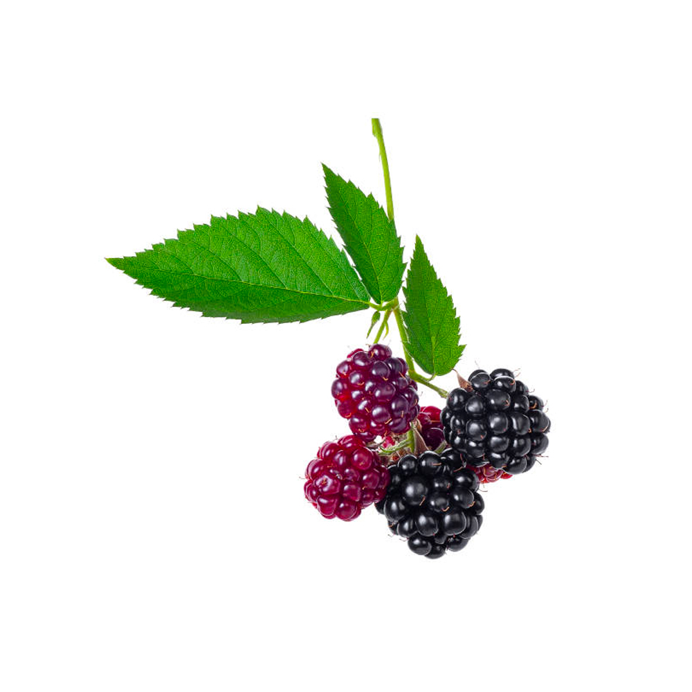 Moras