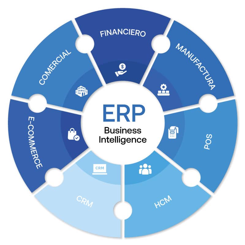 ERP-Business-Intelligence